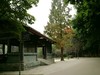 练手习作