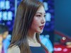 车模小记