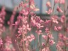 【black小斌】摄影