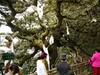 【西藏行】—神湖巴松错