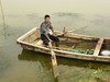 微山湖畔打鱼人
