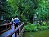 【川西行】—杜甫草堂