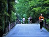 【川西行】—杜甫草堂