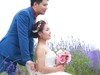 婚纱客片原图    请大家指教下