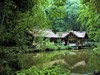 【川西行】—杜甫草堂