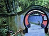 【川西行】—杜甫草堂