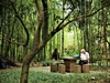 【川西行】—杜甫草堂