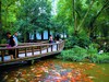 【川西行】—杜甫草堂