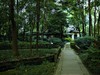【川西行】—杜甫草堂