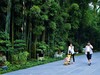 【川西行】—杜甫草堂