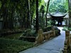 【川西行】—杜甫草堂