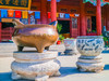 河北邢台开元寺试机