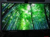 与真实一屏之隔 — ViewSonic 优派 VP2768-4K 专业显示器