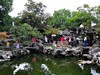 木渎古镇 严家花园