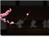 #春节家乡寻宝#【杜甫草堂】— 成都的宝
