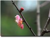 #春节家乡寻宝#【杜甫草堂】— 成都的宝