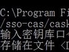 SSO CAS 单点登录实例