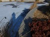 『冰雪交融』123...12p