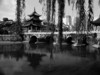 城南那些往事