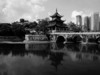 城南那些往事
