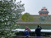 那年的一场大雪