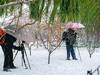 那年的一场大雪
