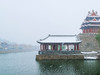 那年的一场大雪