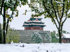 那年的一场大雪