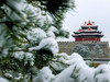 那年的一场大雪