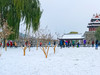 那年的一场大雪
