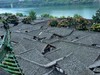 阆中古城（2）