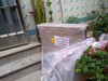 VX2475这款机器怎么样？