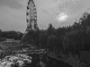 宁  静