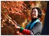 红树林人像抓拍