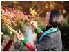 红树林人像抓拍