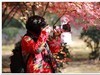 红树林人像抓拍