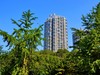 浑河沿岸景观