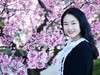 樱花盛开美人来