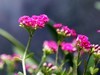 5D4+24-70 试机~