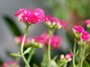 5D4+24-70 试机~