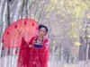 A009摔了，修复后试机两张