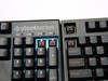 历尽千帆，仍朴实如初——Leopold FC750R PD茶轴