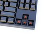 历尽千帆，仍朴实如初——Leopold FC750R PD茶轴