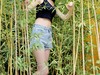 竹林少女【拍摄于大柏树老火车休闲广场】