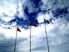 星空体育平台NV10大榭岛随拍