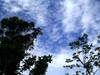 星空体育平台NV10大榭岛随拍