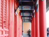 冬日阳光下的紫禁城