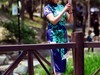 赏荷