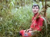 九九女儿红