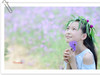 【老张光影】初秋——少女的花季